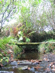 23980 Bridge over little stream.jpg